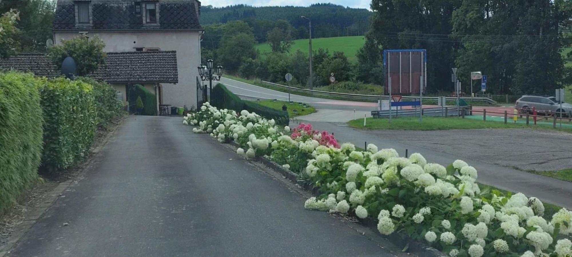 ブルク・ロイラント Chalet Roseヴィラ エクステリア 写真